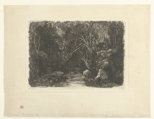 Boslandschap met beek en overhangende bomen