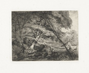 Boslandschap met een beek