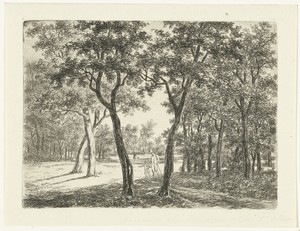 Boslandschap met een man en een jongetje