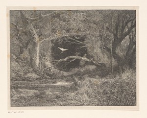 Boslandschap met een vliegende reiger