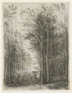 Boslandschap met houtsprokkelaars