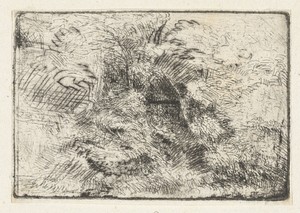 Boslandschap met hut tussen de bomen