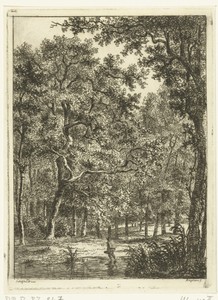 Boslandschap met man die door water waadt
