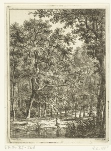 Boslandschap met man die door water waadt