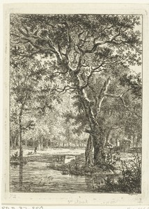Boslandschap met man en hond bij een brug