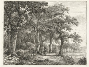 Boslandschap met man met rugzak