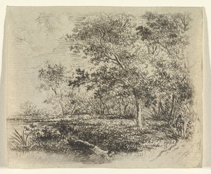 Boslandschap met meer