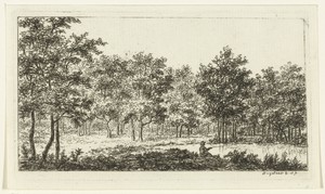 Boslandschap met rivier en visser
