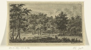 Boslandschap met rivier en visser