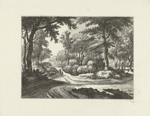Boslandschap met twee wandelaars