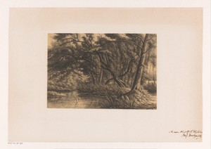 Boslandschap met ven
