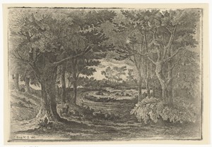 Boslandschap met vijf schapen