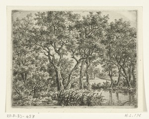 Boslandschap met vijver