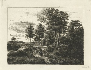 Boslandschap met vrouw en jongen op weg