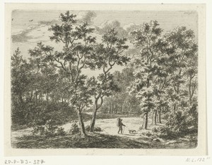 Boslandschap met wandelaar en hond