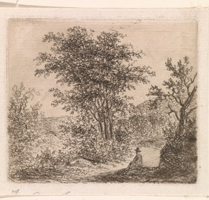 Boslandschap met zittende figuur