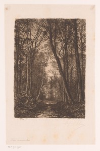 Bospad in de herfst