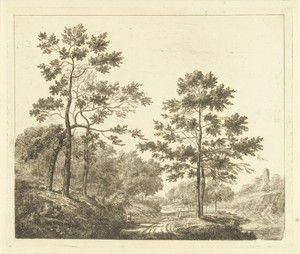 Bospad in heuvelachtig landschap