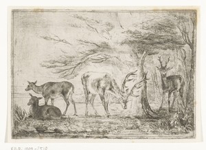 Bosrand met herten