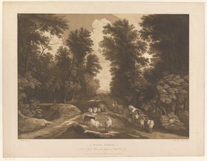 Bosrijk landschap met een pad en reizigers