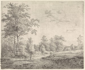 Bosrijk landschap met kronkelende weg