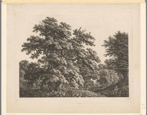 Bosrijk landschap met meisje dat in het water staat