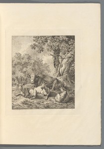 Bosrijk landschap met rund en geiten