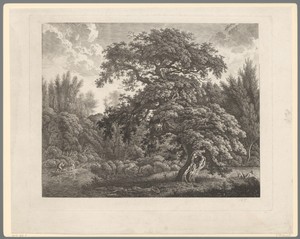 Bosrijk landschap met rustende maaier
