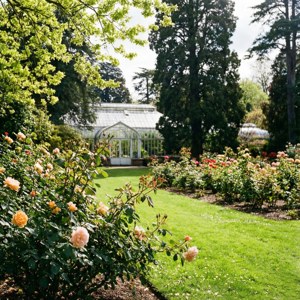 Botanic Garden Blooms