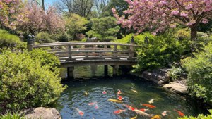 Botanic Garden Serenity