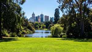 Botanic Gardens Serenity