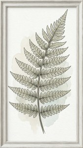 Botanical Fern Line Art