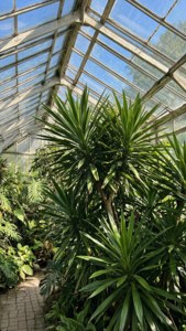 Botanical Greenhouse