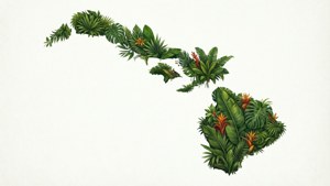 Botanical Hawaii Map