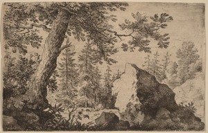 Boulder in the Woods