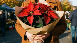 Bouquet in Autumn Light