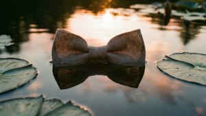 Bow Floating in Lake