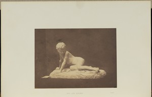 Boy and Lizard