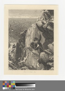 Boys Collecting Eggs on Cliff Face