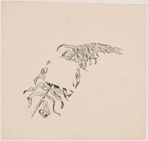 Branch