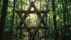 Branch Star Forest