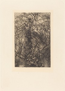Branches