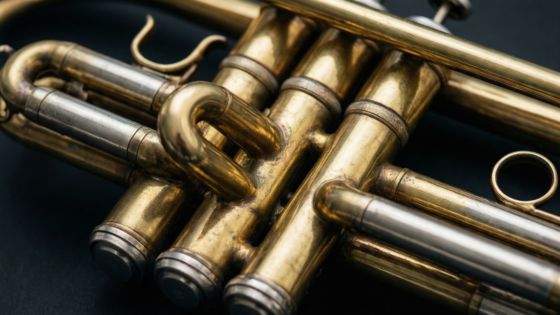 Brass Trumpet Macro Details by Wallpapers.art Studio