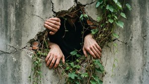 Breaking the Wall