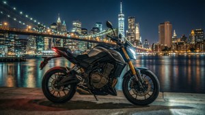 Bridge Night