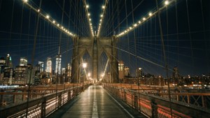 Bridge Over Lights