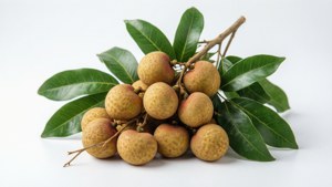 Bright Longan with Leaves