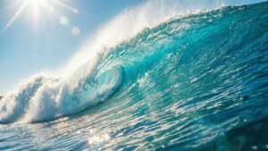 Bright Midday Wave