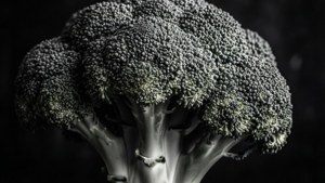 Broccoli in Monochrome