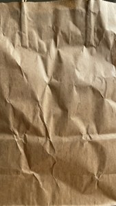 Brown Bag Texture